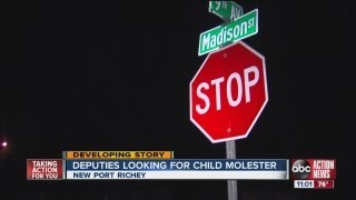 Pasco County deputies search for molester