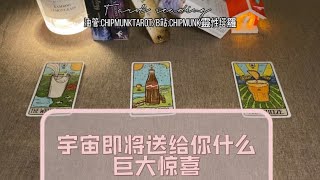 |Chipmunk占卜|宇宙接下来送给你的巨大惊喜是什么🤔 Pick a card🧶