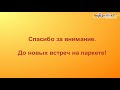 2019.12.22. «Новогодний Феникс 2019». Показательные выступления. Черная Жемчужина