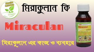 মিরাকুলান (Miraculan) কি || মিরাকুলান এর কাজ ও ব্যবহার || Miraculan plant growth regulator