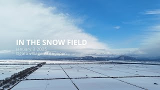 IN THE SNOW FIELD   4K60P HDR   DJI AIR3   ACTION5 PRO