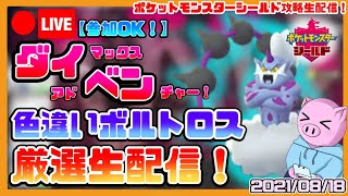 【ポケモンシールド】参加OK！ケンディーの色違いボルトロスを粘るダイマックスアドベンチャー生配信！