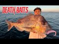 SNAPPER FISHING ON SOFT PLASTICS