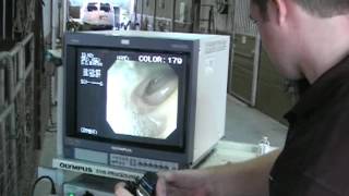 1800Endoscope.com Equine Video Endoscope Endoscopy Systems