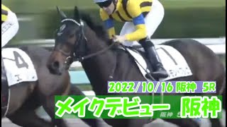 2022/10/16【パドック返し馬つき】阪神５R　メイクデビュー阪神　　☆ルモンドブリエ　エピファネイア　　＃レースは9分ころから