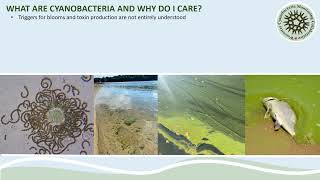 2022 Cyanobacteria in Our Blue Spaces - Community Scientist Data 12/08/2022