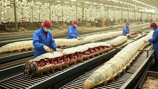 Inside the Silk Factory – How Silkworms Create Luxury Fashion Fabric | Complete Process