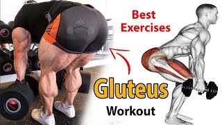 Best Glute Exercises For A Nicer Butt | 5 Killer Exercises