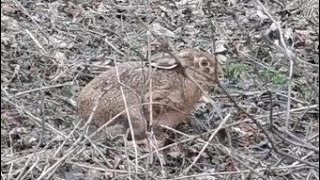 Wyprawa na zrzuty - ten już zrzucił