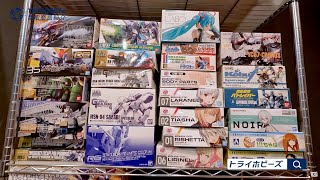 愛知県春日井市より、ガンプラや30MSなどのプラモデルを買取させていただきました！