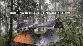 NOT SOLO CAMPING • CAMPING IN HEAVY RAIN & RAINSTORM • CAMPING & COOKING SAIKORO WAGYU ASMR