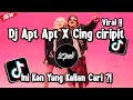 DJ APT APT X CING CIRIPIT VIRAL TIKTOK !! INI KAN YANG KALIAN CARI ?!