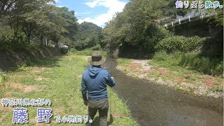 夏の小川は最高に楽しいんです！！ 相模原 藤野の小川で小物釣り。