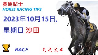 🏆「賽馬貼士」🐴  2023年10月15日, 星期日, 沙田🐴    香港賽馬貼士  HONG KONG HORSE RACING TIPS  🐴 RACE   1  2  3  4