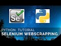 Find Elements by XPath & Chromedriver Headless - Python Selenium Tutorial