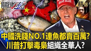 China's No. 1 money laundering fish costs 2.61 million! Trump eradicates all red organizations