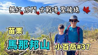 苗栗馬那邦山⛰️ 一等三角點看聖稜線！楓紅、石門、古戰場！珠湖登山口起登！小百岳No.37