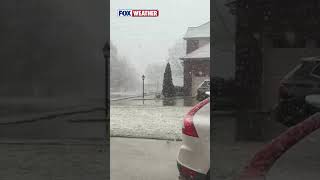 SPRING CONFUSION 🌸❄️: Huntsville, Alabama, Has Been Hit By Winter Weather Here In Mid-March