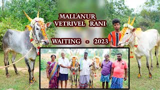 MALLANUR VETRIVELRANI |HOME VIDEO |ERUTHUKATTU CHANDU