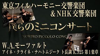 Mozart  〈Eine kleine Nachtmusik 〉1st mvt.  NOSTRO PICCOLO CONCERTO