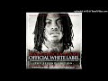 free waka flocka flame x lex luger x southside type beat