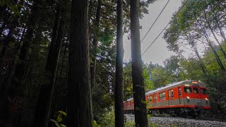 東武鉄道 8000系 8111F 奇跡の復活