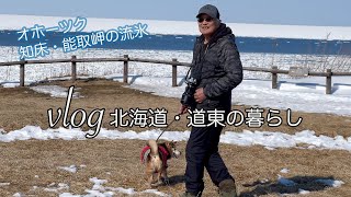 絶景！犬とドライブ知床・網走の流氷/回転寿司ビッグサン/日々の綴り『vlog北海道・道東の暮らし』Life in Hokkaido, Japan