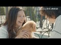 映画『きみの瞳が問いかけている』吉高由里子×横浜流星からコメント到着！