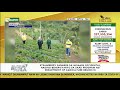 Strawberry farmers sa Misamis Occidental, naging benepisyaryo sa SAAD program ng D.A. Region 10