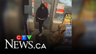 Police search for suspects after convenience store robbed in N.B.