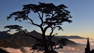 能高越嶺古道  - 屯原登山口至天池山莊（1/2)