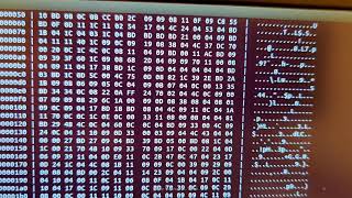 Meltdown Attack Reproduction Presentation