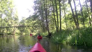 Kayaking trips Poland Wda River