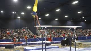 Anthony McCallum - Parallel Bars - 2017 Winter Cup Finals