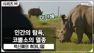 [시리즈 M] 인간의 탐욕이 불러온 코뿔소의 멸종 20200409