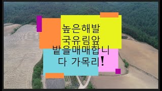 수천만평국유림앞 해발700미터 밭 매매/가목리(정선임계부동산)