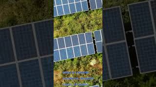 Revolutionize Your Farm with Solar Borehole Systems