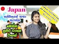 Useful sentences for  Class room, part-time jobs in Japan|ජපන් ලේසියෙන් කතා කරන්න🤗 නියම වාක්‍ය ටිකක්