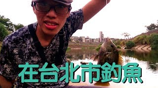 【在台北市釣魚!| FishingVlog in Taipei 】EP.1 景美溪