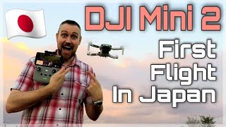 DJI Mini 2 drone - First flight - Lake Teganuma, Kashiwa, Chiba, Japan. ドローン 手賀沼 千葉県柏市 4K