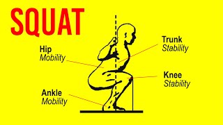 SQUATS: The Only Video You'll Ever Need (Scientific Analysis)