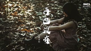 戴羽彤 - 再也沒有 | 改編版本 | 高音質動態歌詞