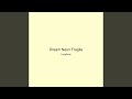 Dream Neon Fragile