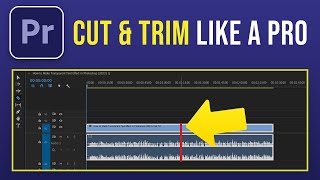 How to Cut and Trim Video Clips in Premiere Pro (2024)