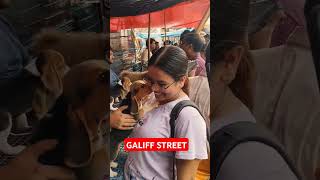 Galiff Street Pet Market। Dog Market #shorts #Dog #petmarket #galiffstreet