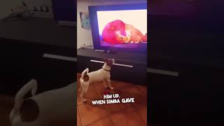 This dog was crying watching Lion King 🥹