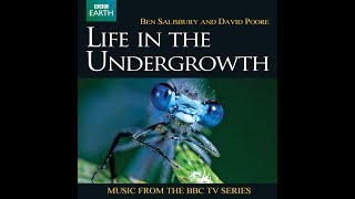 Life in the Undergrowth (2005) - Ben Salisbury & David Poore