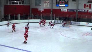 Red Wings 2014 Prospect Tournament Game 2 Highlights