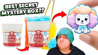 A DISAPPOINTING MESS 5-star Mystery Box of Tiny Pets Instapoodles