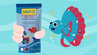 Oratus Betta - Rahasia Pertumbuhan dan Warna yang Sempurna Pada Ikan Cupang